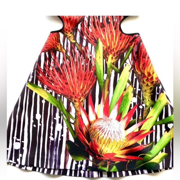 Clover Canyon dress, size S or M - Picture 3 of 6